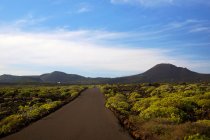 Esvaziado estrada de curvas caminhando para o vale da montanha ao longo do campo com vegetação em Lanzarote Ilhas Canárias Espanha — Fotografia de Stock