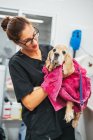 Mujer adulta amable en uniforme negro envolviendo perro spaniel en toalla y piel seca después del procedimiento de lavado en el salón de aseo - foto de stock