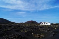 Picturesque view of volcanic terrain and white house with solidified lava in wild area on island of Lanzarote Espagne — Photo de stock