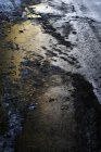 Wheel trace on asphalt road with muddy melted snow in twilight — Stock Photo
