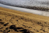 Nasses Sandufer am Tag am Nordstrand — Stockfoto