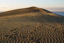 Dune sabbiose con tracce di luce solare — Foto stock
