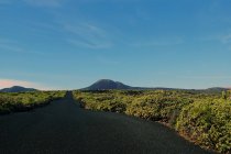 Estrada vazia caminhando para o vale da montanha ao longo do campo com vegetação em Lanzarote Ilhas Canárias Espanha — Fotografia de Stock