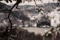 Сельская живописная холмистая долина с заснеженными деревьями и берегом озера в мрачную погоду в Норвегии — стоковое фото