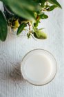 Vista superior de vidro com leite de amêndoa ao lado da planta verde na mesa da cozinha com pano de renda — Fotografia de Stock