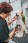 Woman in uniform using electric shaver to trim fur of cheerful terrier dog while working in grooming salon — Stock Photo