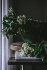 Composition of blooming elderberry flowers with green leaves in metal basket on wooden board at home — Stock Photo