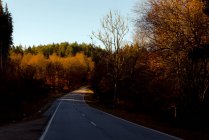 Árvores de outono crescendo nos lados da estrada de asfalto reta contra o céu azul sem nuvens no dia ensolarado no campo — Fotografia de Stock