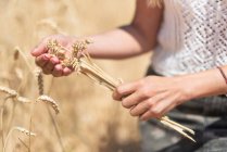 Femme cultivée avec de l'herbe céréalière dans la prairie — Photo de stock