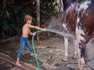 Side view of barefoot boy hosing down stallion with fresh water on farm terrace — Stock Photo