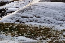 Majestueuses roches lisses avec de vieilles herbes couvertes de neige fondante en plein jour — Photo de stock