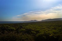 Мбаппе и живописный вид на поверхность деревьев среди высоких скал в солнечный день — стоковое фото