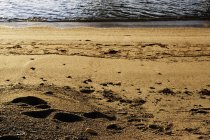 Steine am nassen Sandstrand an sonnigen Tagen in der Natur — Stockfoto