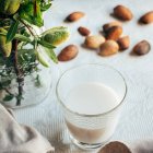 Glass of almond milk next to plate of almonds in shells on kitchen table — Stock Photo