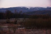 Vista Tranquil del bosque de invierno con árboles y arbustos desnudos sin hojas y montañas nevadas en el sur de Polonia. - foto de stock