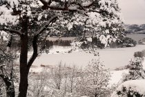 Rural scenic hilly valley with snow covering trees and shore of lake in gloomy weather in Norway — Stock Photo