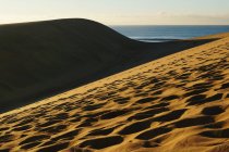 Sandy dunes with traces in sunlight — Stock Photo