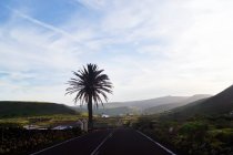Leere kurvenreiche Straße zu Fuß ins Gebirgstal entlang des dunklen Feldes mit viel Grün auf Lanzarote Kanarische Inseln Spanien — Stockfoto