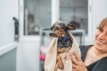 Cerca de perro en la bañera - foto de stock