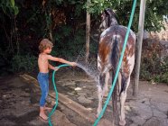 Side view of barefoot boy hosing down stallion with fresh water on farm terrace — Stock Photo