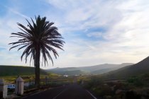 Svuota strada curva a piedi a valle di montagna lungo il campo scuro con vegetazione a Lanzarote Isole Canarie Spagna — Foto stock