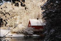 Acogedora casa de campo de color rojo en la orilla del río remoto rodeado de árboles blancos helados en los bosques de invierno - foto de stock