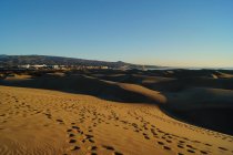 Dunes sablonneuses avec des traces au soleil — Photo de stock