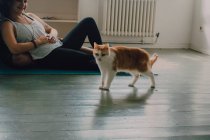 Gesunde Ingwer-Hauskatze schlendert neben liegendem Barfußpaar über den Zimmerboden — Stockfoto