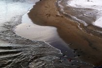 Orilla arenosa húmeda durante el día en la playa del norte - foto de stock