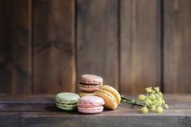 Colorful tasty macaroons against brown lumber wall with fresh dill flowers — Stock Photo