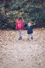 Маленькая девочка, держась за руку малыша во время прогулки по тропе с опавшими листьями в осеннем парке — стоковое фото