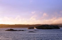 Серые камни на мирном берегу в холодный туманный день с легким и ясным небом — стоковое фото