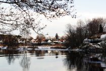 Берег зимней реки с ледяными деревьями и ветхими домами вдали — стоковое фото