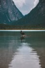 Lone black duck standing on snag in middle of lake with crystal tranquil water on beautiful background of green dense forest hills and mountains in Dolomites — Stock Photo