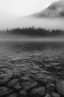 Чорно-білий кам'яний берег озера з кристалічною тихою водою на видовищному тлі туманного темного густого лісу біля похилої гори в Доломітах під час сильної погоди вдень. — стокове фото
