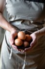 Do acima mencionado cozinheiro de cultura em avental cinza de pé com ovos de galinha frescos nas mãos para cozinhar — Fotografia de Stock