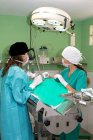 Surgeon and nurse standing in operating room by metal table and working at covered patient in veterinary clinic — Stock Photo