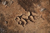 De cima da superfície do solo marrom seco com rachaduras e manchas durante o dia — Fotografia de Stock