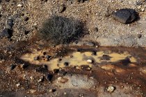 Сверху болото с мутной мутной водой, коричневая почва и черные скалы — стоковое фото