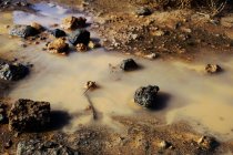 Du haut du marais avec eau trouble et boueuse sol brun et roches noires — Photo de stock