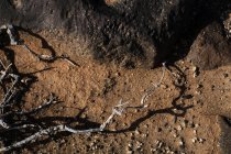 De cima de chão estéril com pedras e ramos secos de arbusto durante o dia — Fotografia de Stock