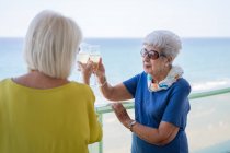 Щасливі жінки в елегантному одязі, які говорять тост і насолоджуються вином, стоячи на балконі готелю біля моря на курорті. — стокове фото