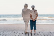 Вид ззаду друзів-жінок, які обіймаються на пляжі і дивляться на море в літній день, пам'ятаючи старі часи — стокове фото