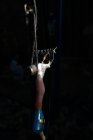 Rasoio professionale di tosatura pecore appeso alla corda in fienile buio in azienda — Foto stock