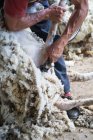 Обрезанный образ работника фермы удаление шерсти из овец с помощью профессионального инструмента на земле в сарае — стоковое фото