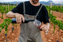 Кукурудзяна людина в робочому одязі наливає вино на виноградник на розмитому фоні — стокове фото