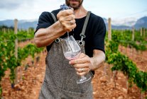 Erntehelfer in Arbeitskleidung gießt Wein in Weinberg auf verschwommenem Hintergrund — Stockfoto