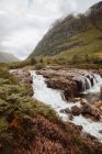 Vista pintoresca de las aguas pluviales con rocas y helechos en el valle de la montaña de Glencoe en verano. - foto de stock