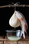 Cloth with ball of fresh labneh cheese hanging on twig over bowl with liquid against black background — Stock Photo