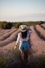 Vue arrière de la jeune femme élégante marchant près des fleurs dans un grand champ de lavande à la campagne . — Photo de stock